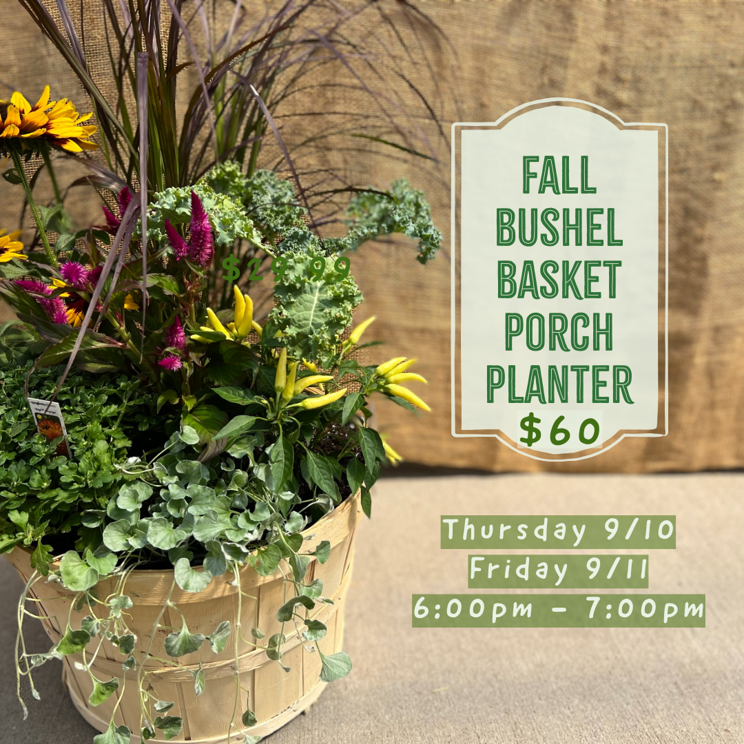 9.10 & 9.11 - Fall Bushel Basket Porch Planter