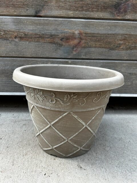 6.11: Container Garden Workshop