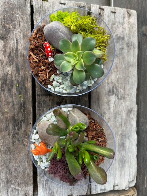 4.13-4.19: Toddler & Me Miniature Garden