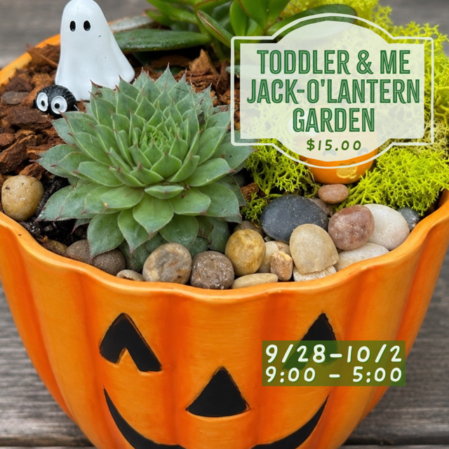 9.28-10/2: Toddler & Me: Jack-O'-Lantern Mini Garden
