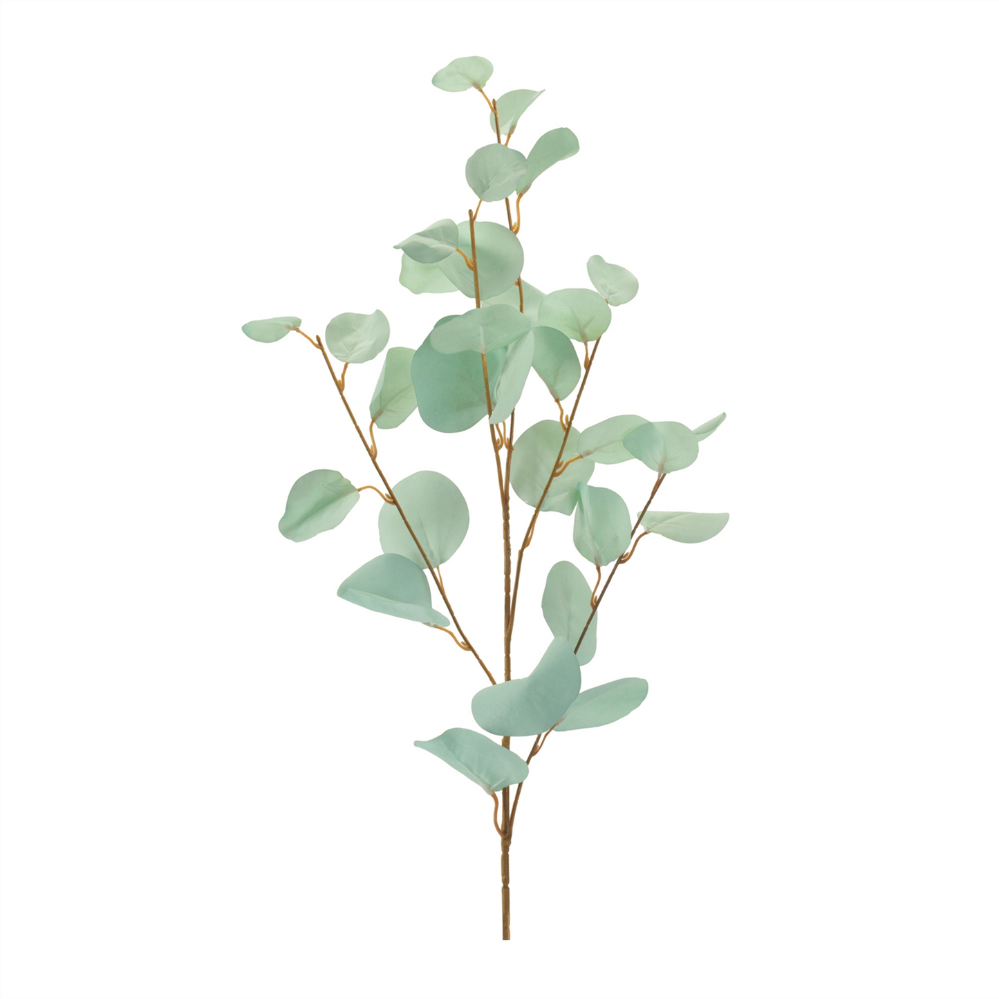 Blue Silver Dollar Eucalyptus Leaf Spray (Set of 6)