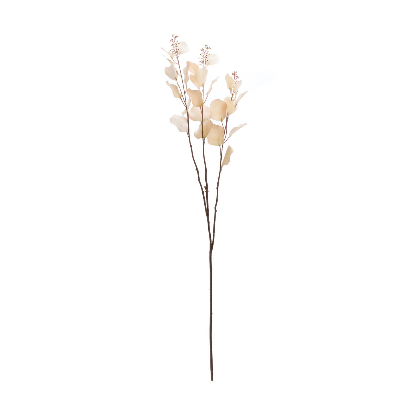 Seeded Eucalyptus Stem (Set of 2)