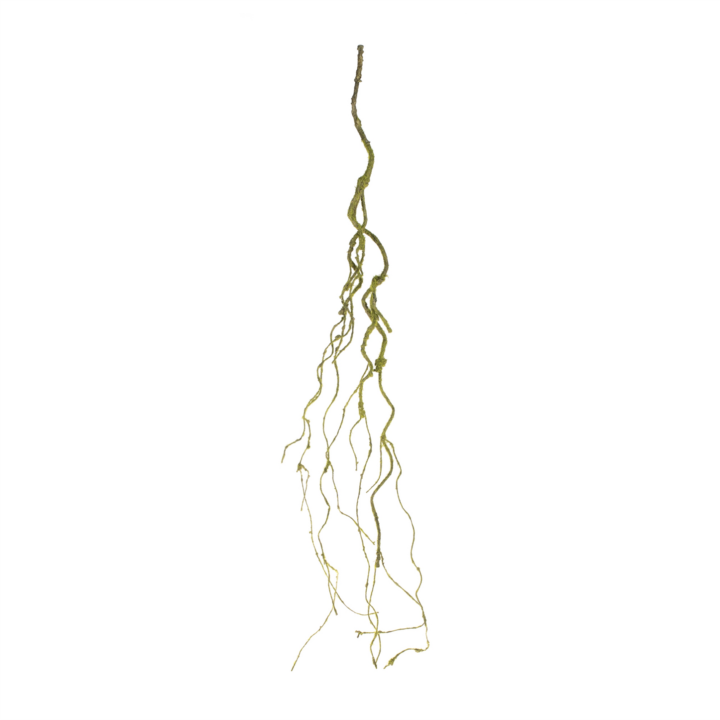 Mossy Twig Vine (Set of 6)