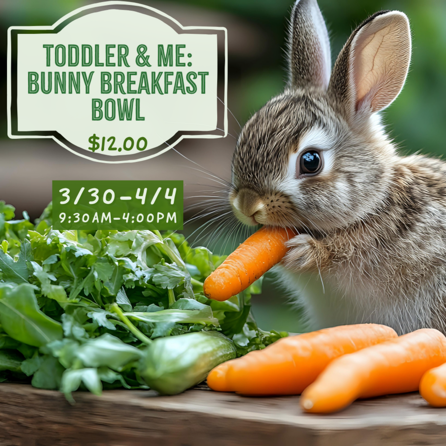 3.30-4/4: Toddler & Me Bunny Breakfast Bowl