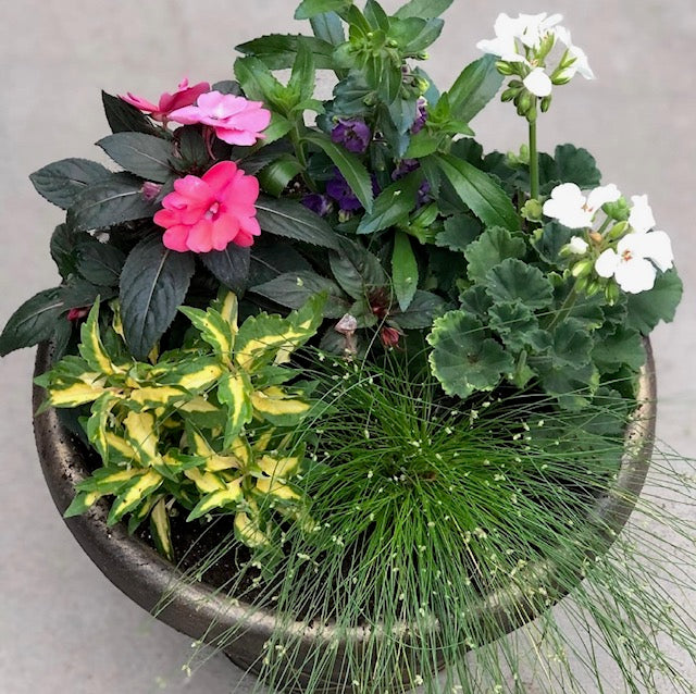 6.11: Container Garden Workshop