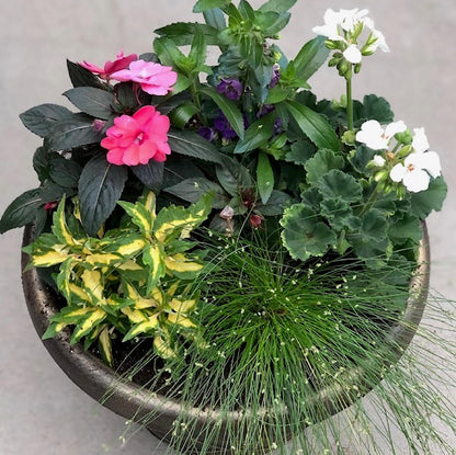 6.11: Container Garden Workshop