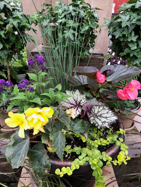 6.11: Container Garden Workshop