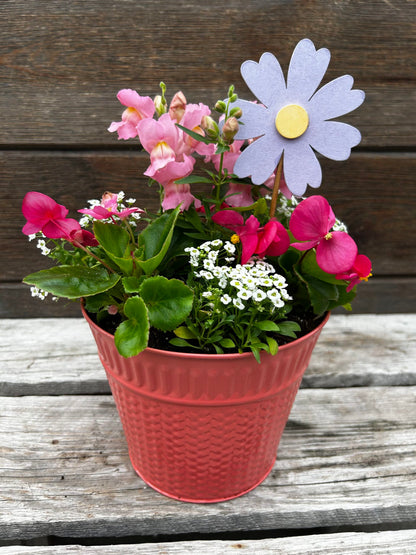 5.4-5.8: Mother's Day & Teacher Appreciation Pick-a-Pot
