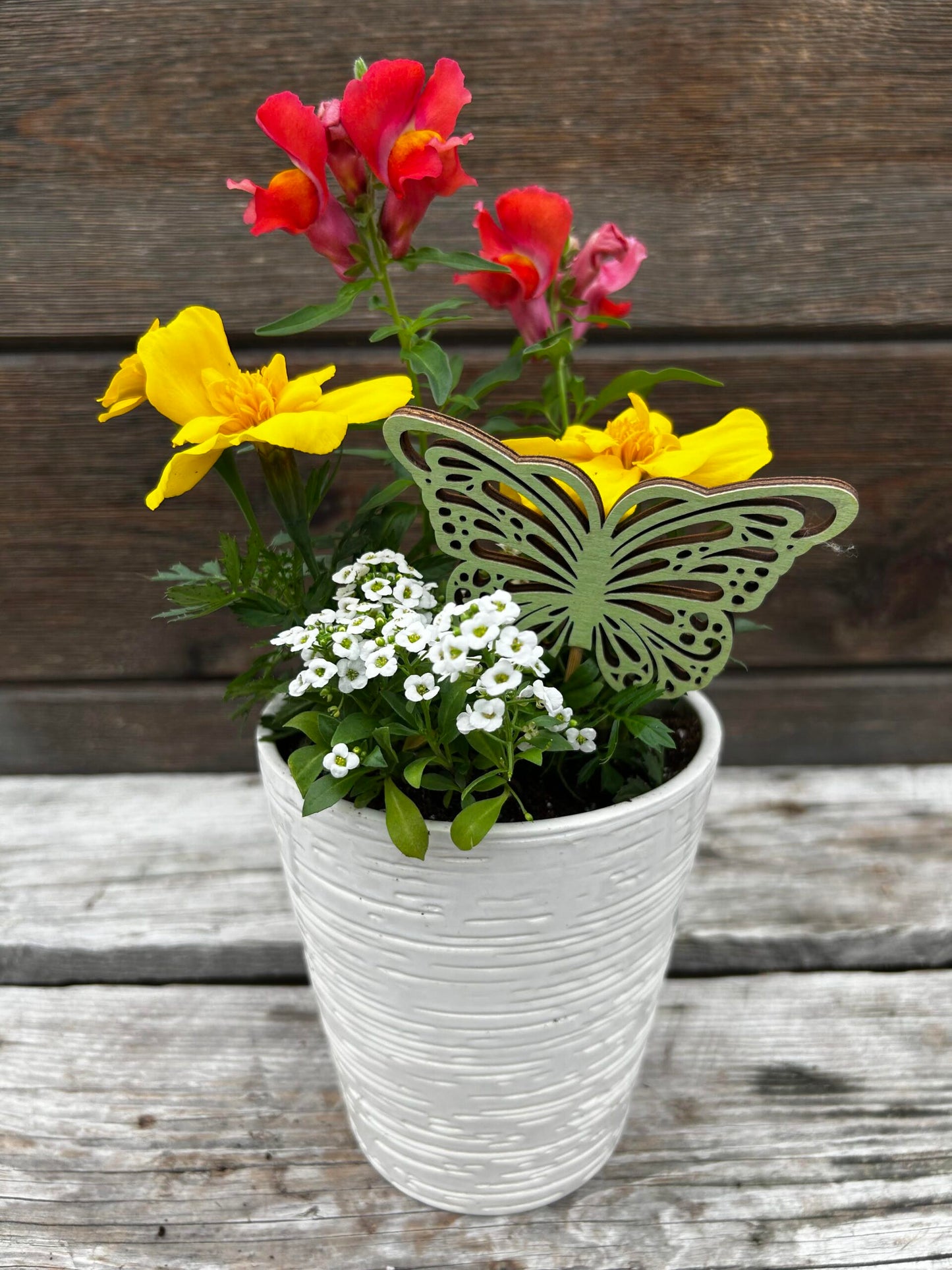 5.4-5.8: Mother's Day & Teacher Appreciation Pick-a-Pot