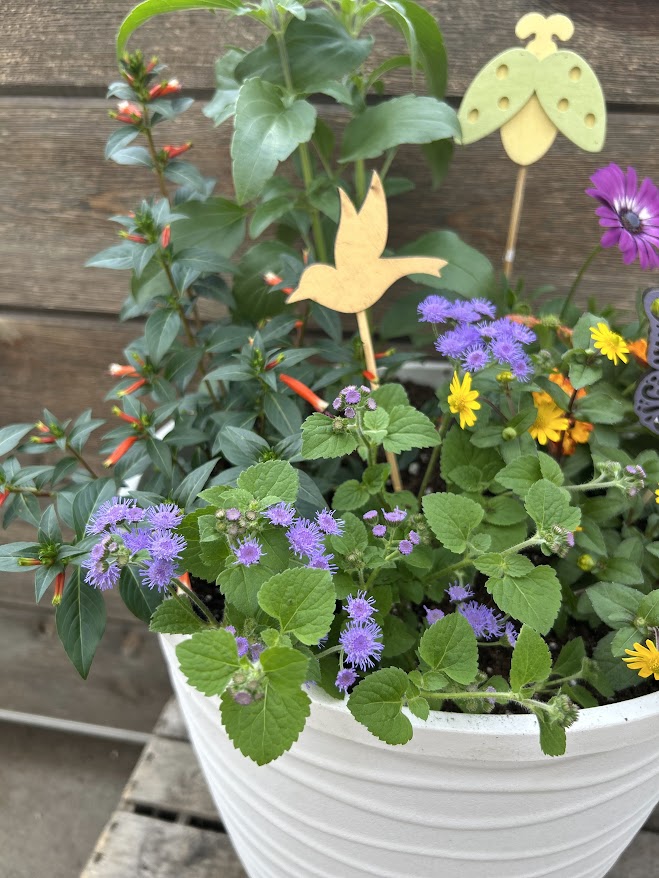 6.10: Pollinator Pot Workshop