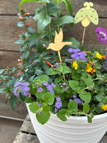 6.10: Pollinator Pot Workshop