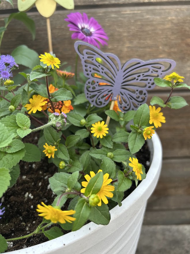 6.10: Pollinator Pot Workshop