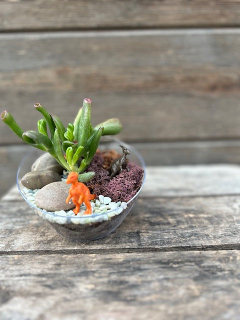 4.13-4.19: Toddler & Me Miniature Garden