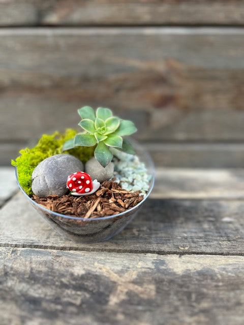 4.13-4.19: Toddler & Me Miniature Garden