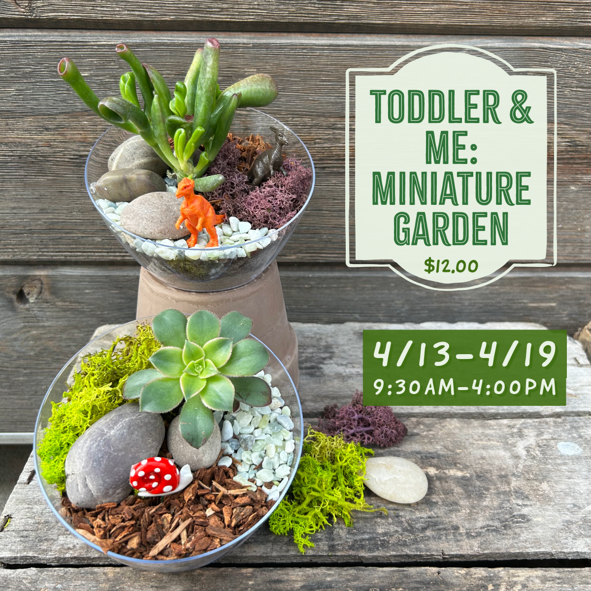 4.13-4.19: Toddler & Me Miniature Garden