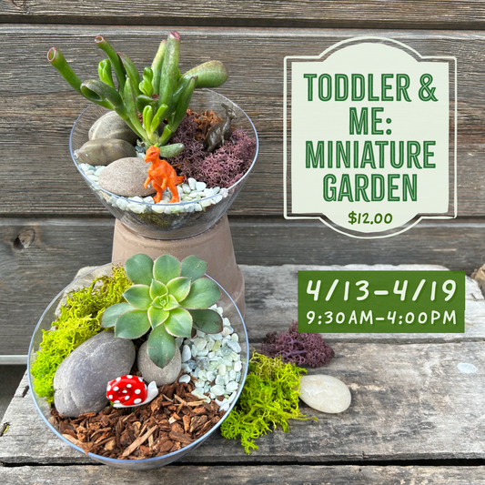 4.13-4.19: Toddler & Me Miniature Garden