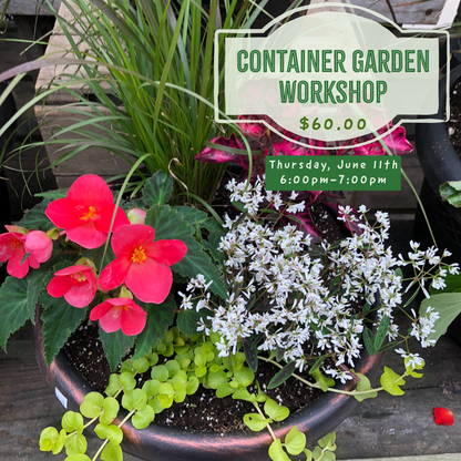 6.11: Container Garden Workshop