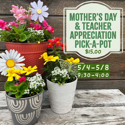 5.4-5.8: Mother's Day & Teacher Appreciation Pick-a-Pot