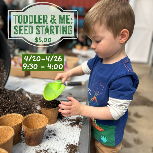4.20-4.26: Toddler & Me Seed Starting