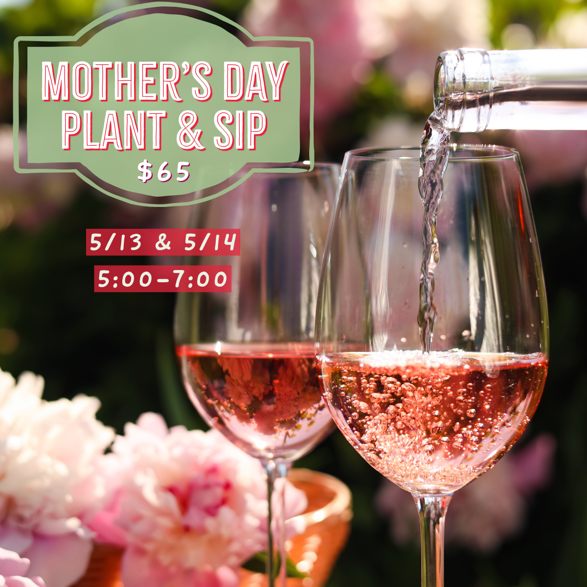 5.13 & 5.14: Mother's Day Plant & Sip