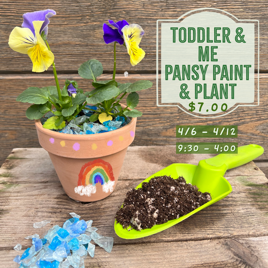 4.6-4.12: Toddler & Me Pansy Paint & Plant