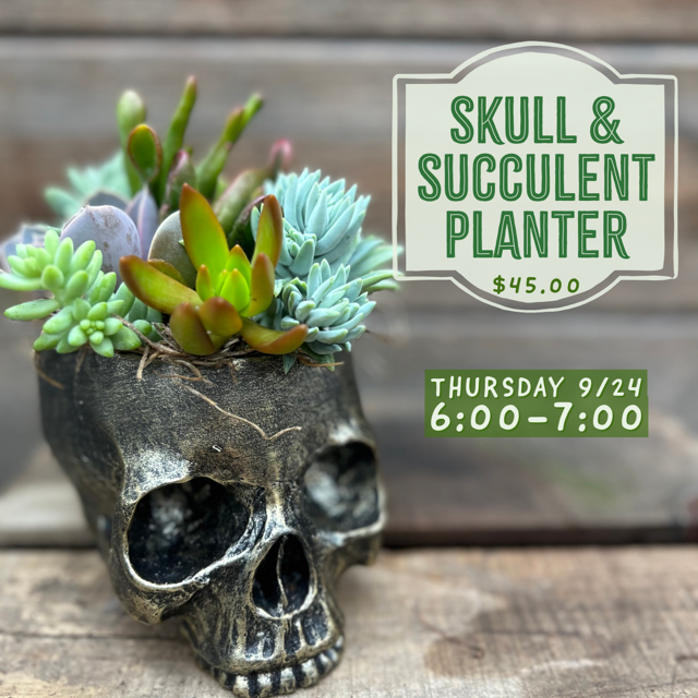 9/24: Succulent & Skulls Workshop