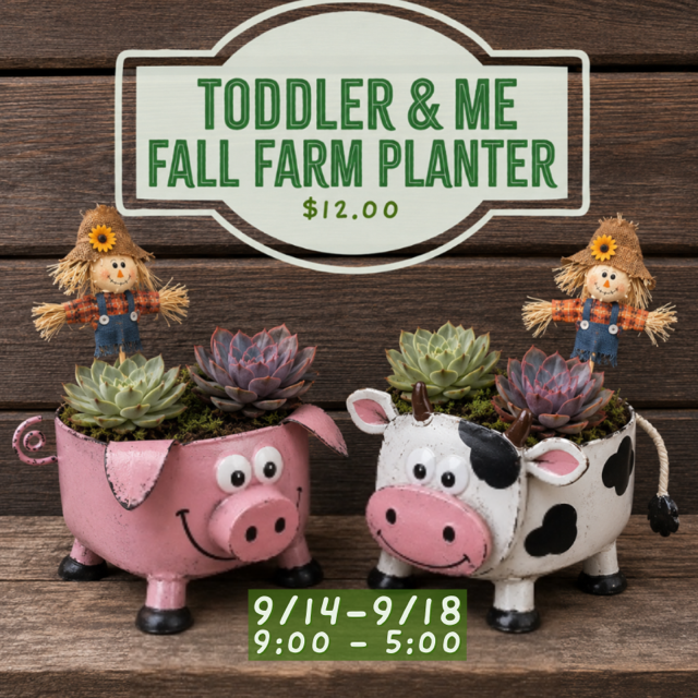 9.14-9.18: Toddler & Me Fall Farm Planter