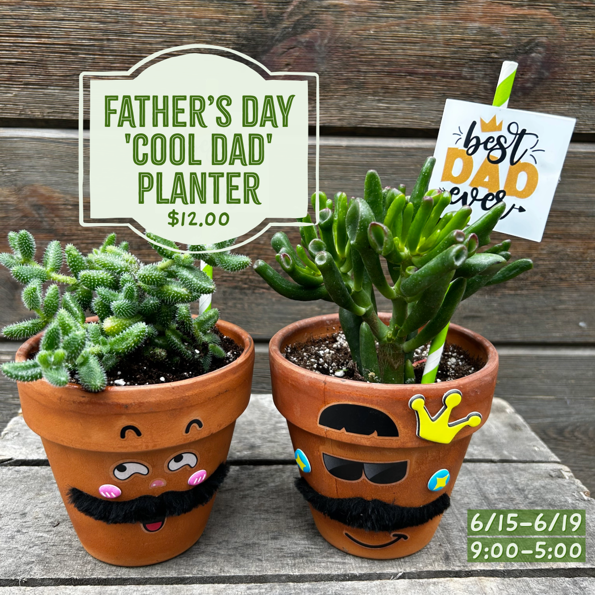6.15-6.19: 'Cool Dad' Planter