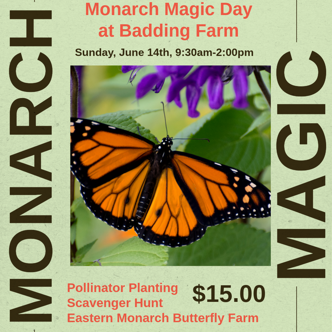 6.14: Monarch Magic Day - NEW EVENT