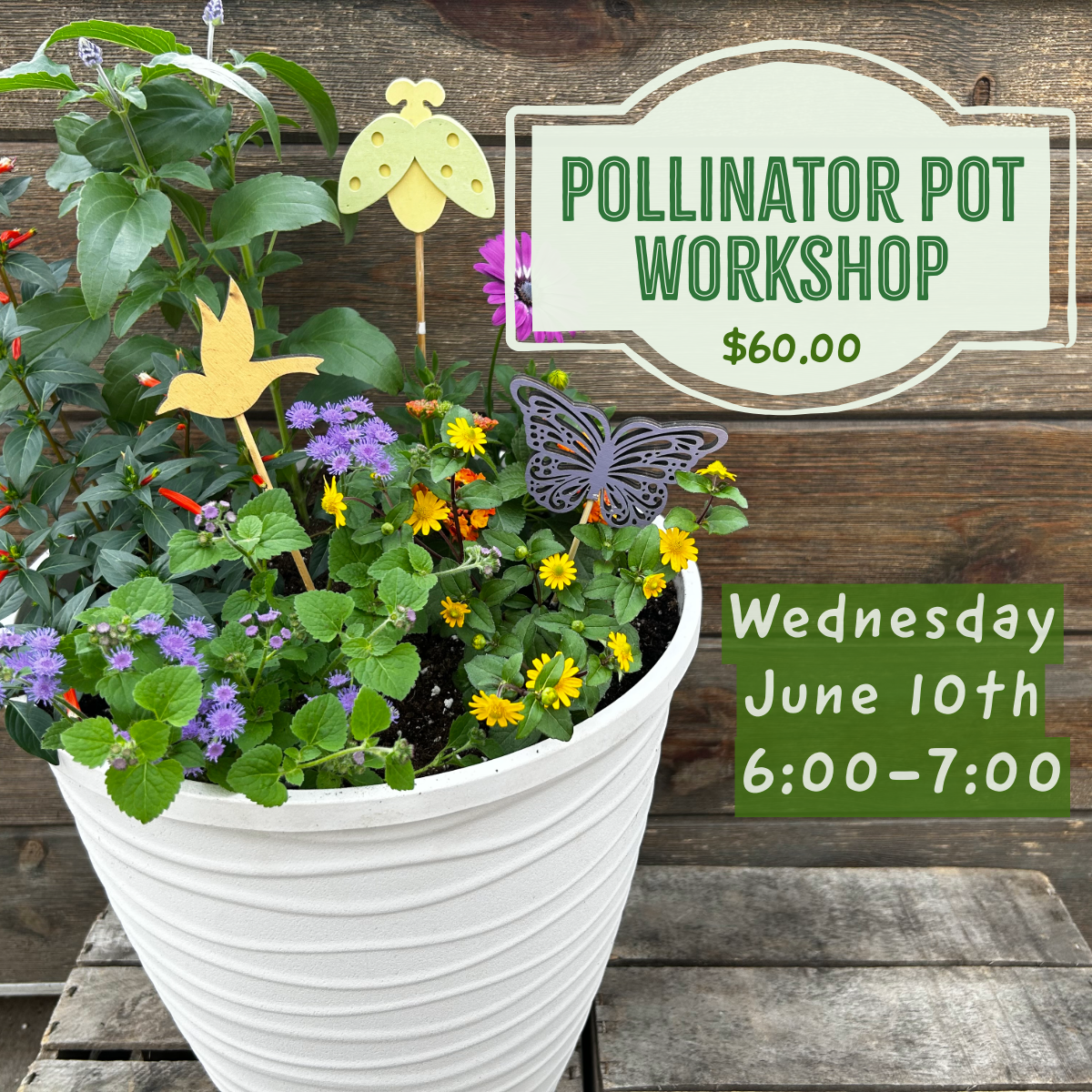 6.10: Pollinator Pot Workshop