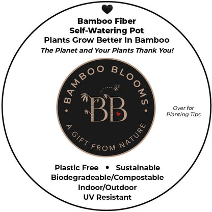 7" Butterfly Round Self-Watering Bamboo Pot