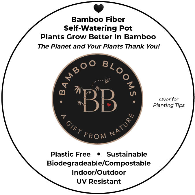7" Black Round Self-Watering Bamboo Pot