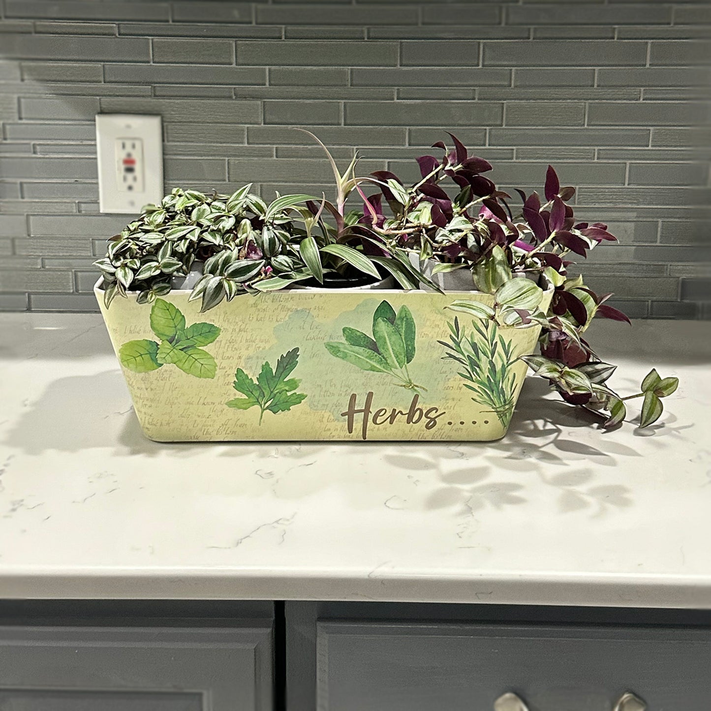 16" Herbs Rectangular Self-Watering Bamboo Planter