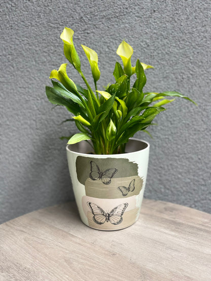 7" Butterfly Round Self-Watering Bamboo Pot