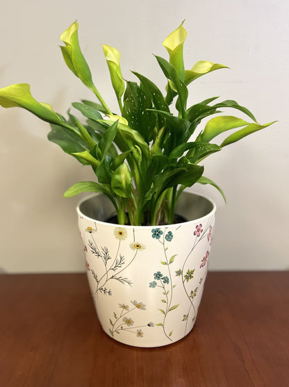 7" Wildflower Round Self-Watering Bamboo Pot