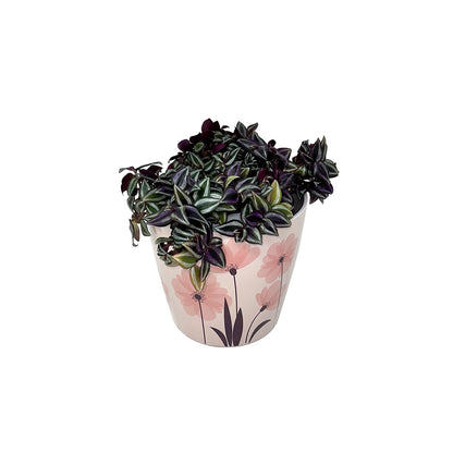 5" Pink FlowerRound Self-Watering Bamboo Pot