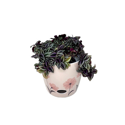 5" Pink FlowerRound Self-Watering Bamboo Pot