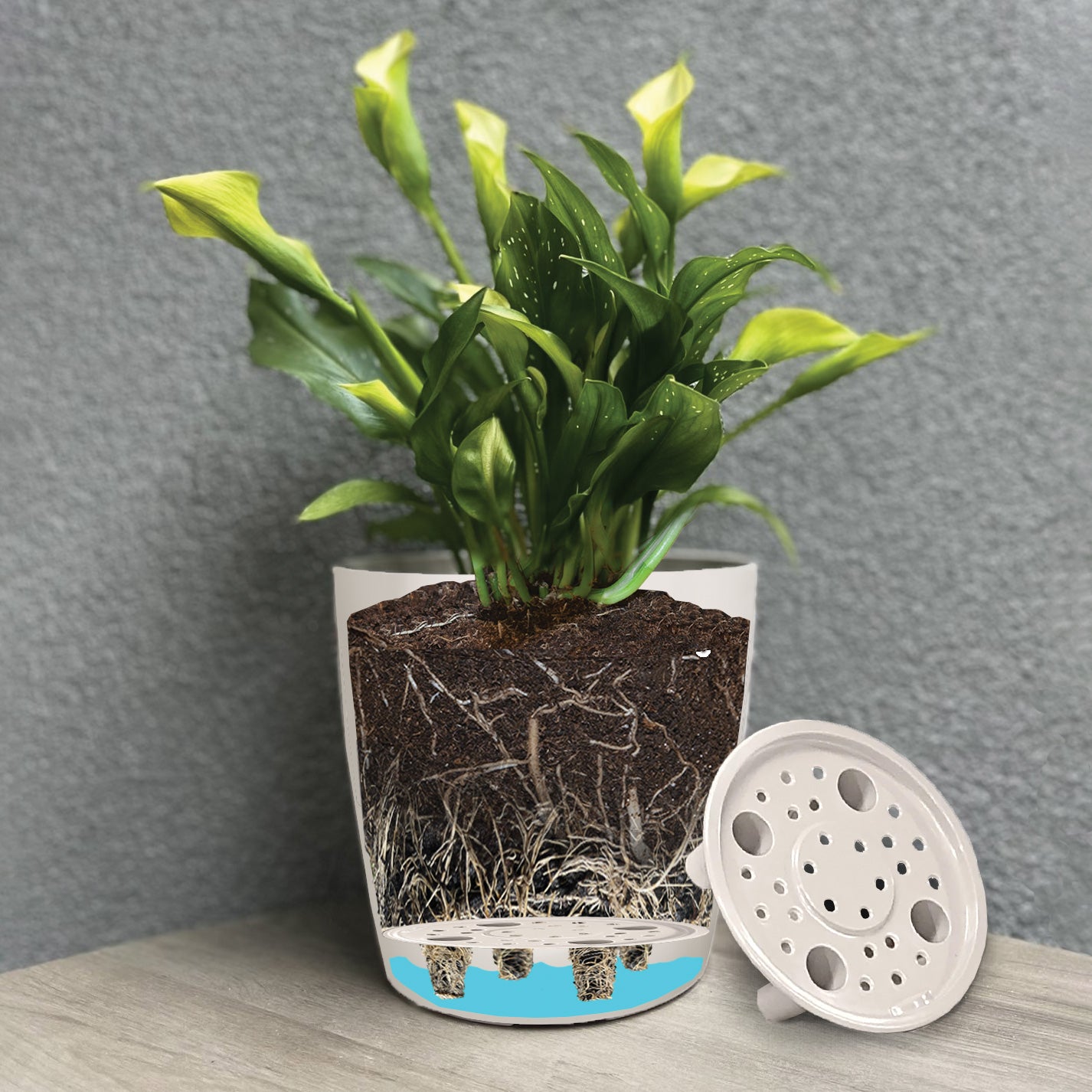 7" Pale Yellow Round Self-Watering Bamboo Pot