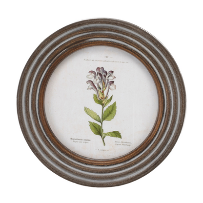 Round Framed Floral Print (Set of 6)