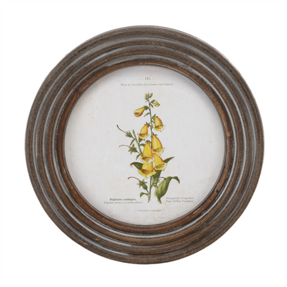 Round Framed Floral Print (Set of 6)