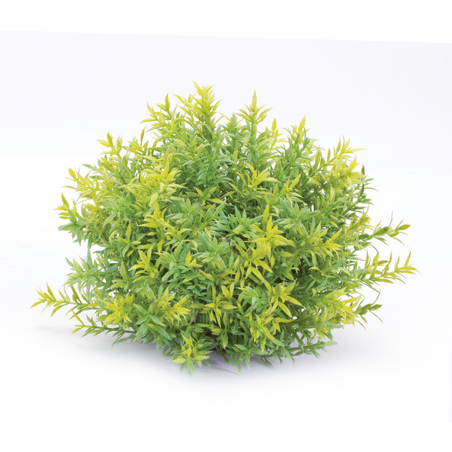 Varigated Mini Leaf Half Orb (Set of 6)