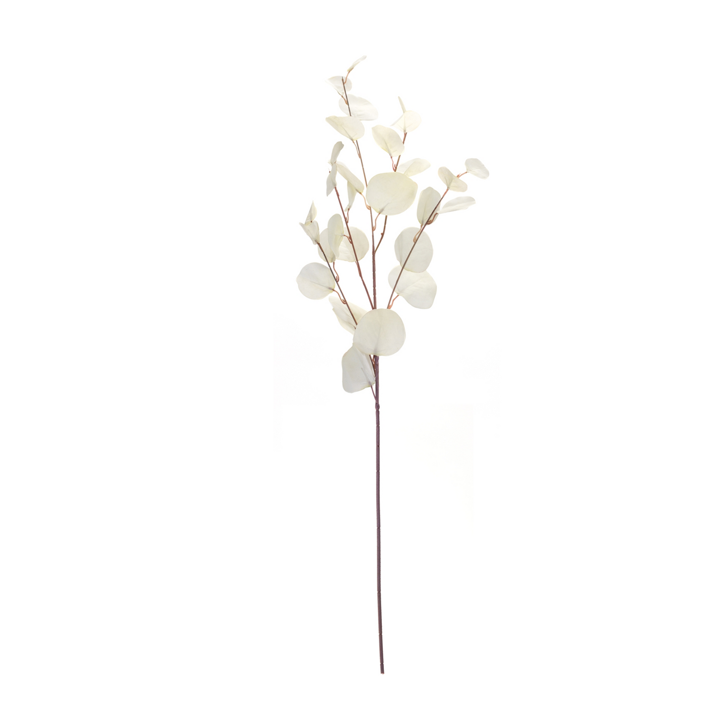Ivory Silver Dollar Eucalyptus Leaf Spray (Set of 6)