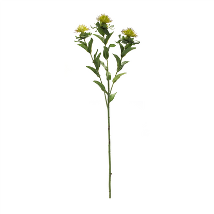 Green Thistle Floral Spray (Set of 6)