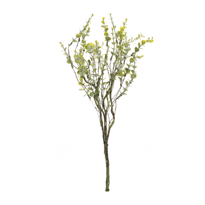 Boxwood Twig Foliage Spray (Set of 6)