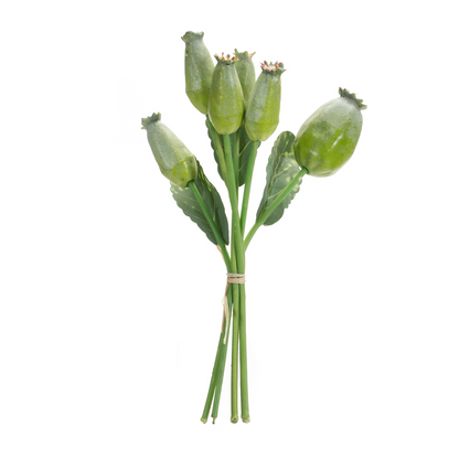 Green Poppy Pod Foliage Bundle (Set of 6)