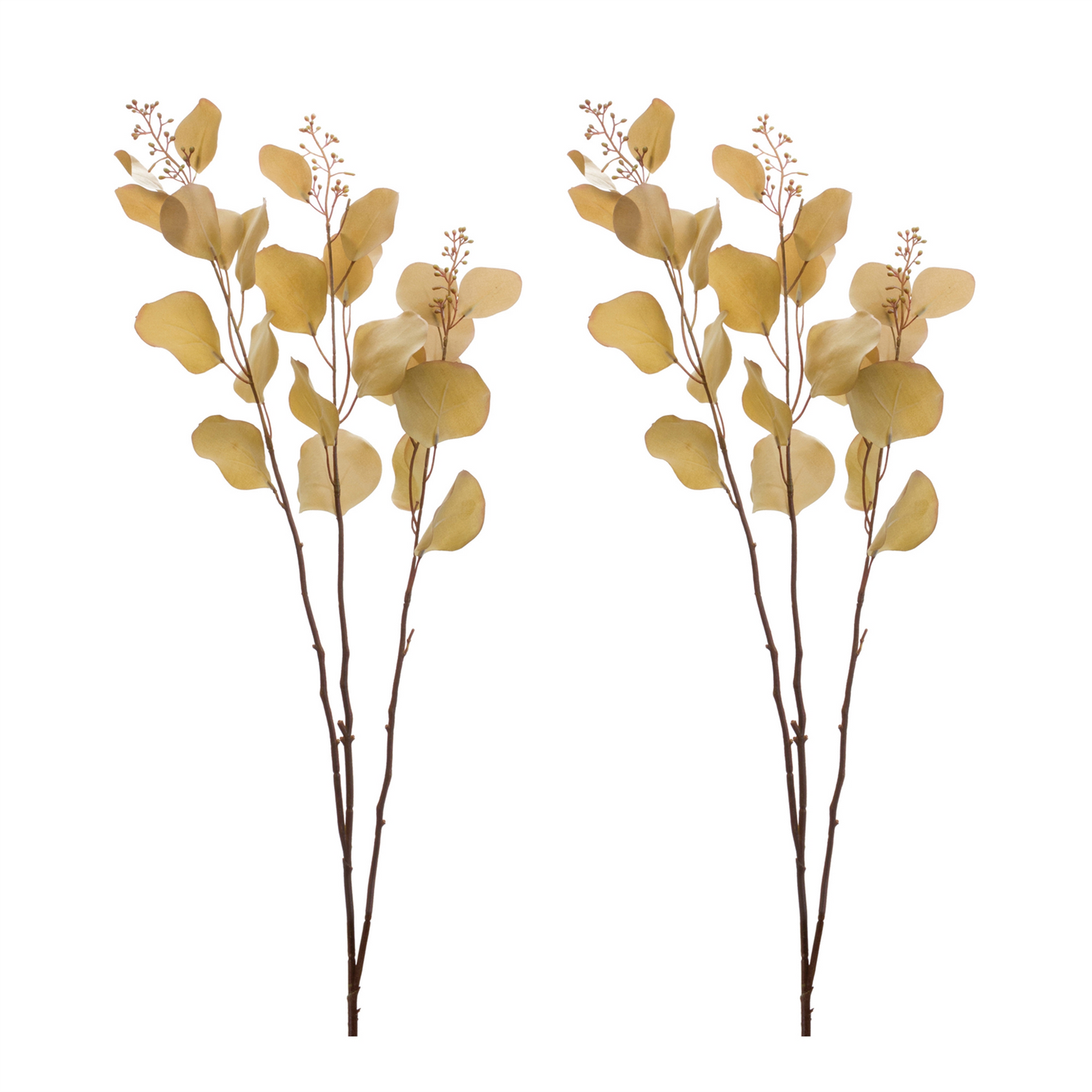 Seeded Eucalyptus Stem (Set of 2)