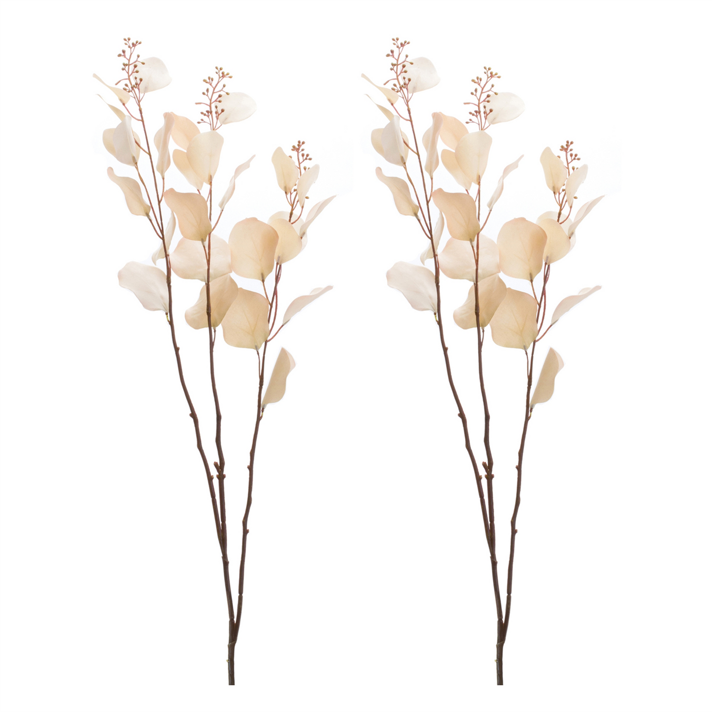 Seeded Eucalyptus Stem (Set of 2)