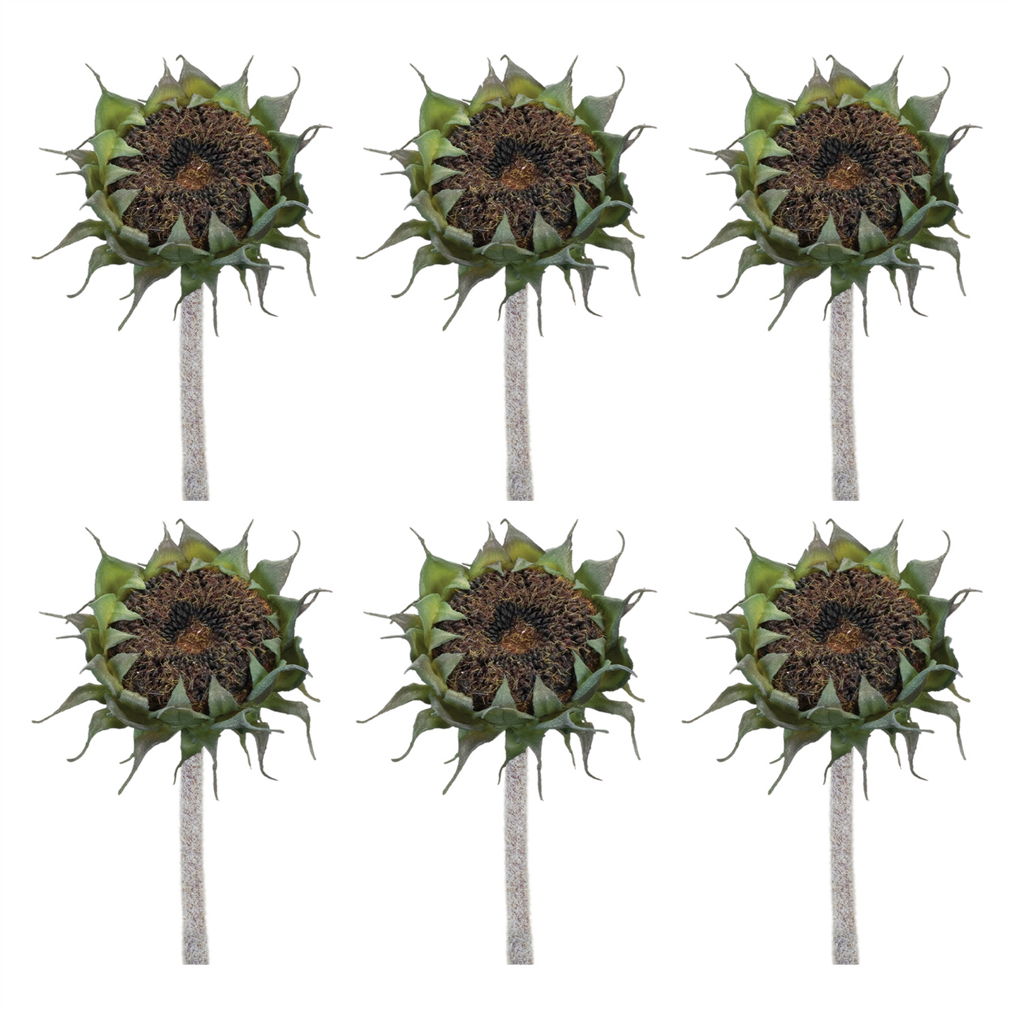 Brown Sunflower Stem (Set of 6)
