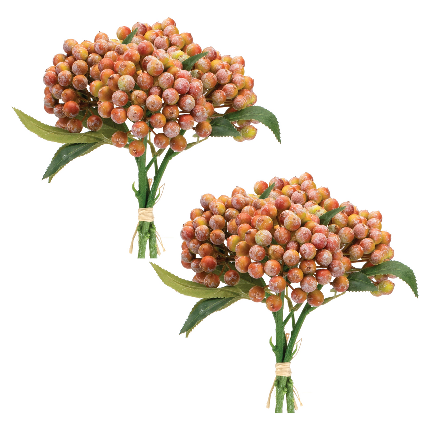 Orange Berry Bundle (Set of 2)