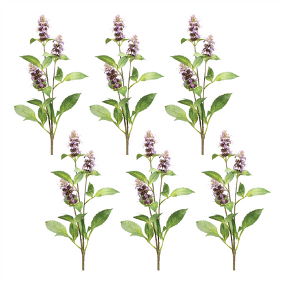 Buddleia Floral Stem (Set of 6)